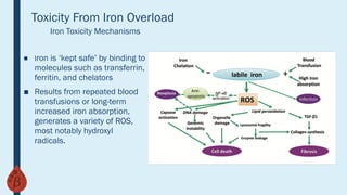 Iron Overload Example Iron Overload Diagnosis, Manifestations, and Treatment | PPTX