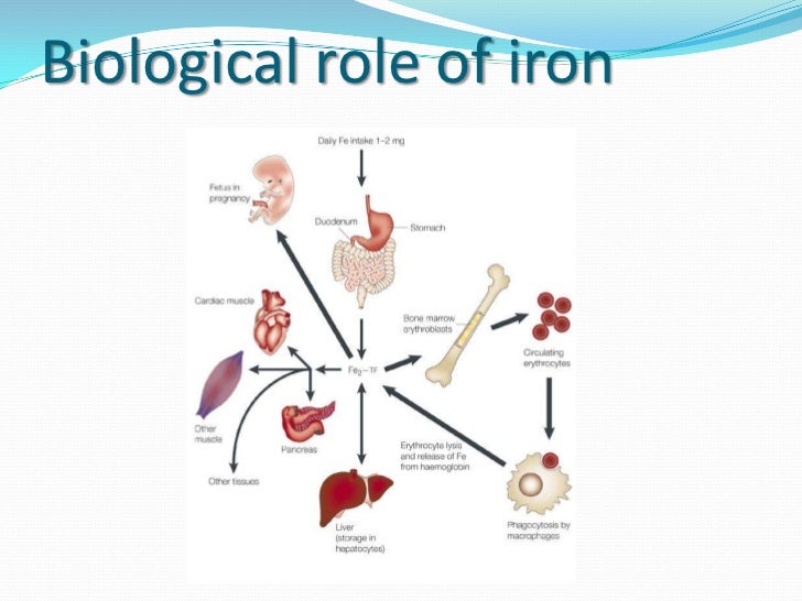 Iron overload intro
