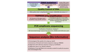 Iron Refractory Iron Deficiency Anemia.pptx