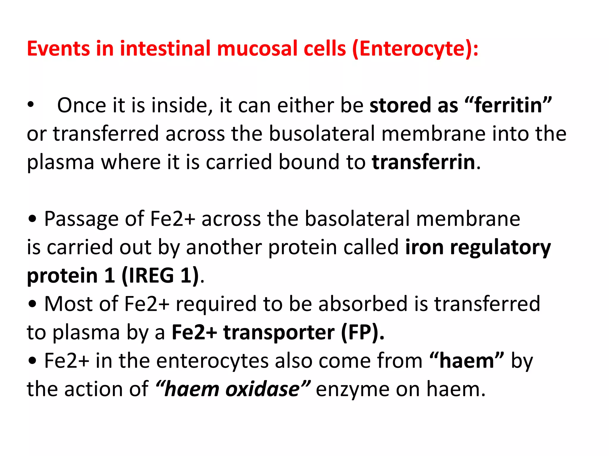 Events in intestinal mucosal cells (Enterocyte):
• Once it is inside, it can either be stored as “ferritin”
or transferred across the busolateral membrane into the
plasma where it is carried bound to transferrin.
• Passage of Fe2+ across the basolateral membrane
is carried out by another protein called iron regulatory
protein 1 (IREG 1).
• Most of Fe2+ required to be absorbed is transferred
to plasma by a Fe2+ transporter (FP).
• Fe2+ in the enterocytes also come from “haem” by
the action of “haem oxidase” enzyme on haem.
 