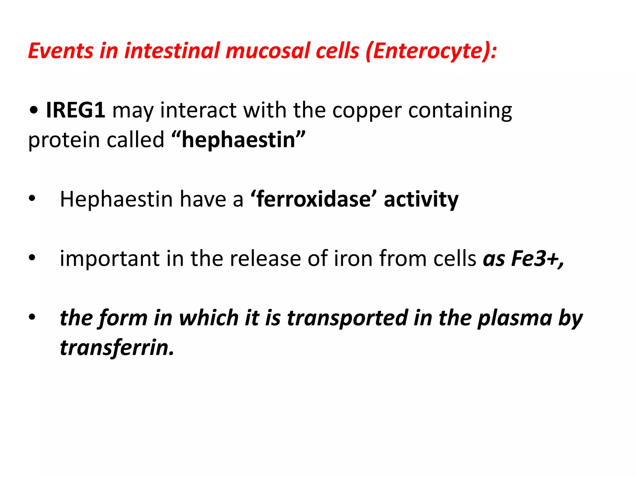 Events in intestinal mucosal cells (Enterocyte):
• IREG1 may interact with the copper containing
protein called “hephaestin”
• Hephaestin have a ‘ferroxidase’ activity
• important in the release of iron from cells as Fe3+,
• the form in which it is transported in the plasma by
transferrin.
 