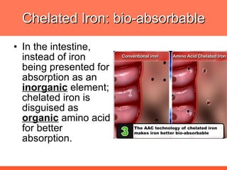 Chelated Iron: bio-absorbable In the intestine, instead of iron being presented for absorption as an  inorganic  element; chelated iron is disguised as  organic  amino acid for better absorption. 