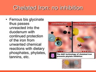 Chelated Iron: no inhibition Ferrous bis glycinate thus passes unreacted into the duodenum with continued protection of the iron from unwanted chemical reactions with dietary phosphates, phytates, tannins, etc. 
