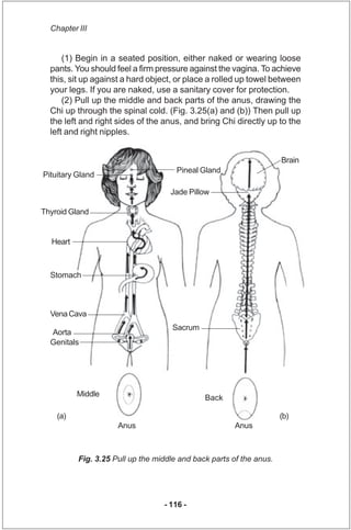 Chapter III


      (1) Begin in a seated position, either naked or wearing loose
  pants. You should feel a firm pressure...