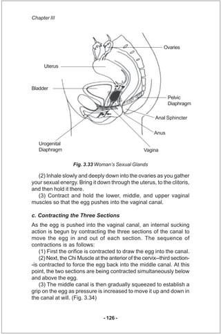 Chapter III




                                                             Ovaries


     Uterus



Bladder
            ...