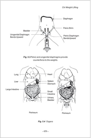 Chi Weight Lifting




                                                              Diaphragm



                        ...