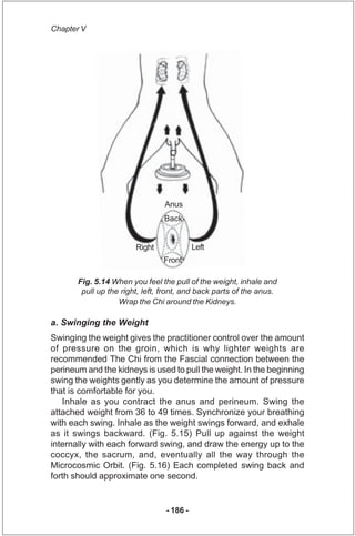 Chapter V




                                 Anus
                                 Back


                        Right ...