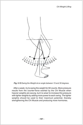 Chi Weight Lifting




  Fig. 5.15 Swing the Weight at an angle between 15 and 30 degrees.

  After a week, try to swing t...