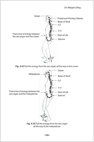 Chi Weight Lifting


                           Crown
                                                    Pineal and Pitui...