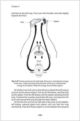 Chapter V


and then to the left lung. Push your left shoulder and side slightly
towards the front.


            Liver   ...
