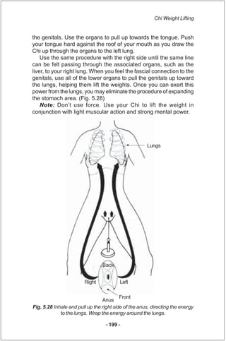 Chi Weight Lifting


the genitals. Use the organs to pull up towards the tongue. Push
your tongue hard against the roof of...