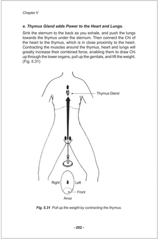Chapter V


e. Thymus Gland adds Power to the Heart and Lungs.
Sink the sternum to the back as you exhale, and push the lu...