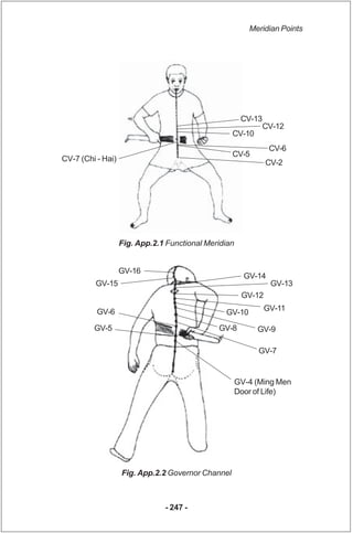 Meridian Points




                                                       CV-13
                                         ...