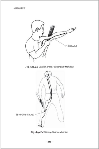 Appendix II




                                                     P-3 (QUZE)




              Fig. App.2.3 Section of ...