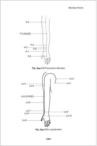 Meridian Points




     P-2




P-3 (QUZE)




            P-4
   P-5
                P-6
     P-7

         P-8




    ...