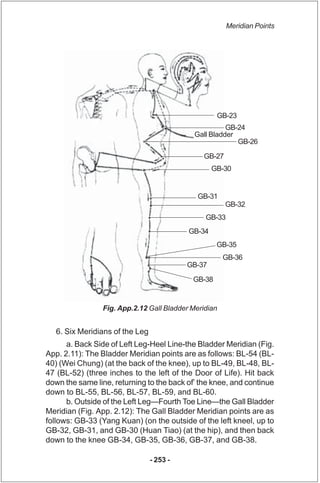 Meridian Points




                                                    GB-23
                                            ...
