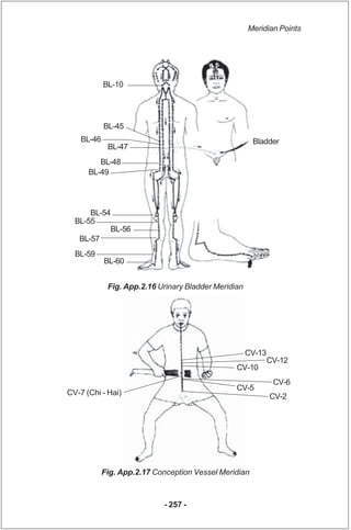 Meridian Points




            BL-10




            BL-45
    BL-46                                              Bladder...