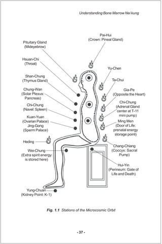 Understanding Bone Marrow Nei kung




                                                  Pai-Hui
                         ...