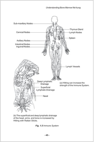 Understanding Bone Marrow Nei kung




Sub-maxillary Nodes

                                                            Th...