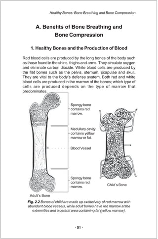 Healthy Bones: Bone Breathing and Bone Compression



       A. Benefits of Bone Breathing and
              Bone Compress...