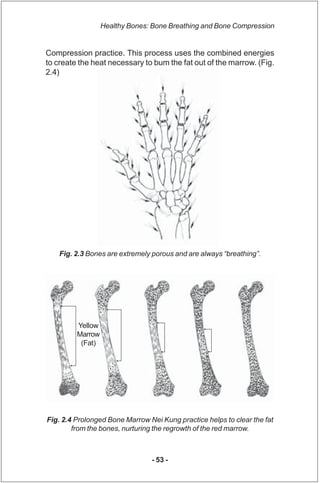 Healthy Bones: Bone Breathing and Bone Compression


Compression practice. This process uses the combined energies
to crea...
