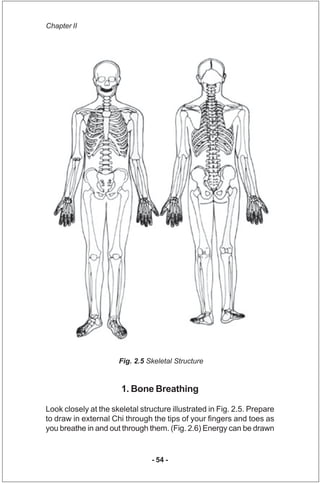 Chapter II




                      Fig. 2.5 Skeletal Structure


                       1. Bone Breathing

Look closely ...