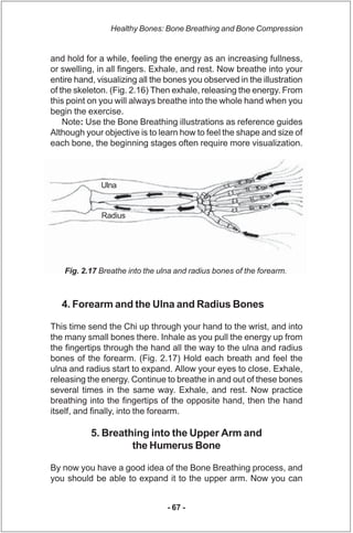 Healthy Bones: Bone Breathing and Bone Compression


and hold for a while, feeling the energy as an increasing fullness,
o...