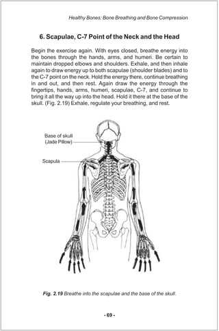 Healthy Bones: Bone Breathing and Bone Compression


   6. Scapulae, C-7 Point of the Neck and the Head

Begin the exercis...