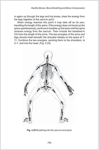Healthy Bones: Bone Breathing and Bone Compression


in again up through the legs and hip bones, draw the energy from
the ...
