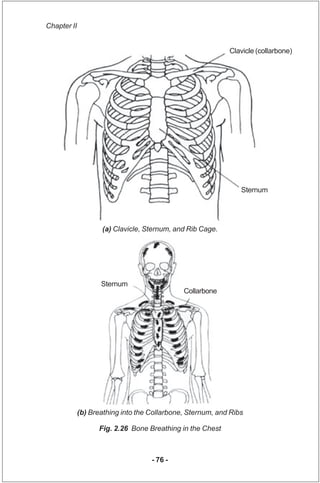 Chapter II


                                                            Clavicle (collarbone)




                       ...