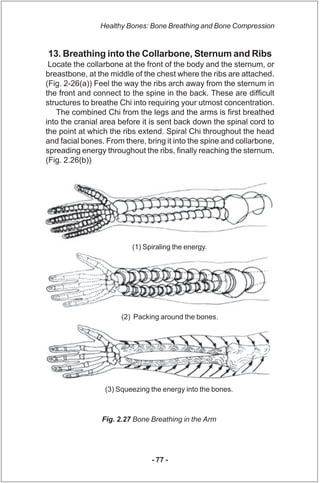 Healthy Bones: Bone Breathing and Bone Compression


13. Breathing into the Collarbone, Sternum and Ribs
 Locate the colla...