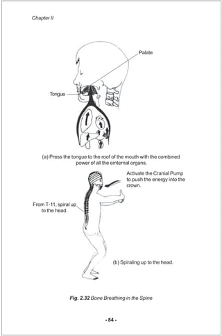 Chapter II




                                                Palate




        Tongue




    (a) Press the tongue to t...