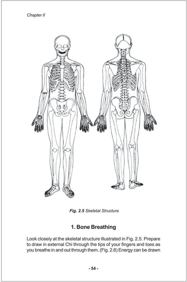 Iron shirt chi_kung_iii