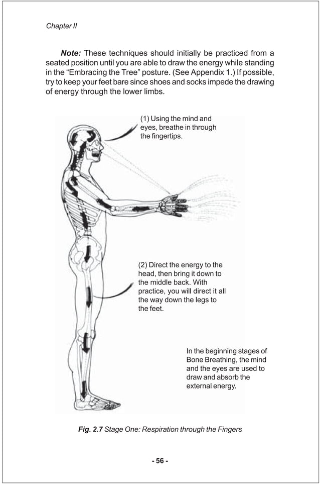 Iron shirt chi_kung_iii