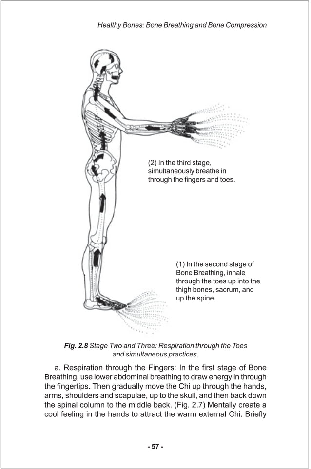 Iron shirt chi_kung_iii