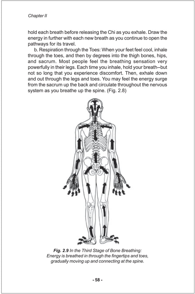 Iron shirt chi_kung_iii