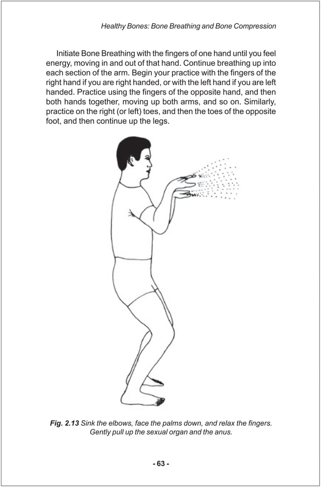 Iron shirt chi_kung_iii