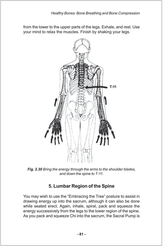 Iron shirt chi_kung_iii