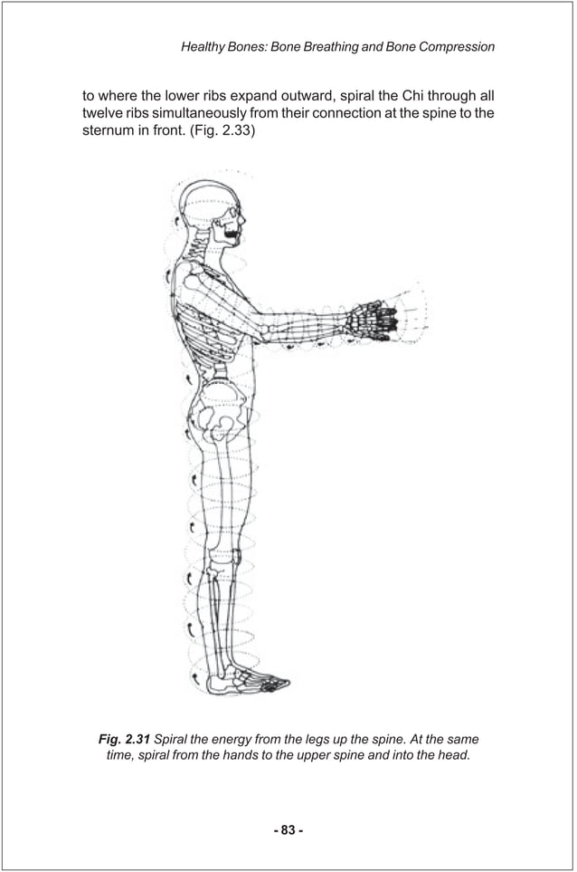 Iron shirt chi_kung_iii