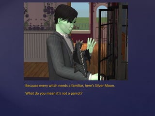 Because every witch needs a familiar, here’s Silver Moon.
What do you mean it’s not a parrot?
 