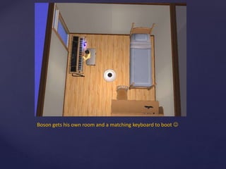 Boson gets his own room and a matching keyboard to boot 
 