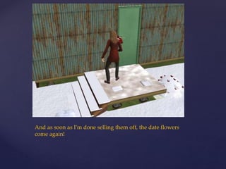 And as soon as I’m done selling them off, the date flowers
come again!
 