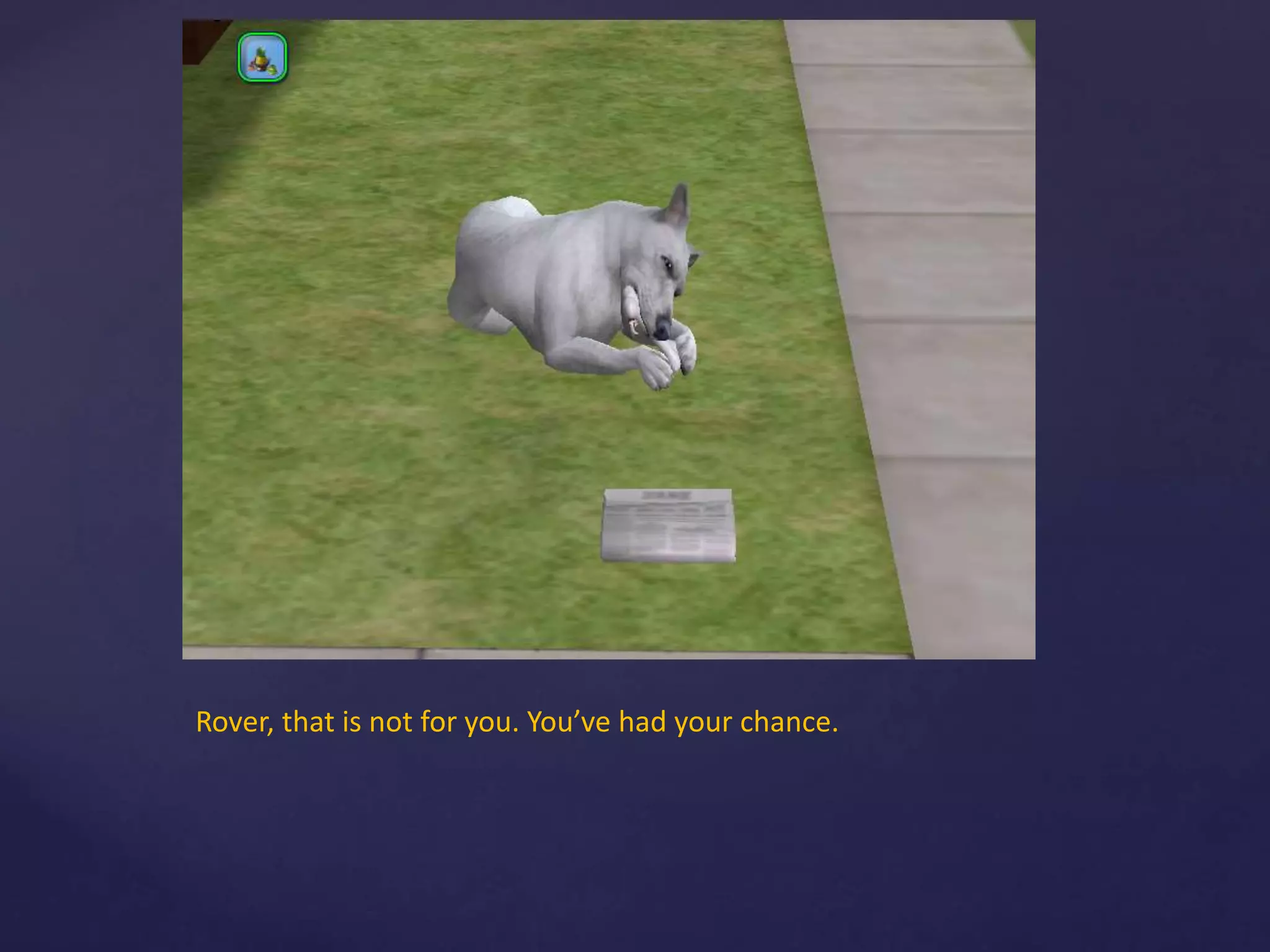 Rover, that is not for you. You’ve had your chance.
 