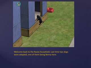 Welcome back to the Rauta household. Last time two dogs
were adopted, one of them being Benny here.
 