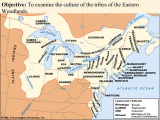 Objective:  To examine the culture of the tribes of the Eastern Woodlands. 