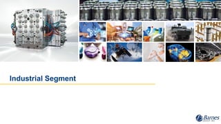 Industrial Segment
 