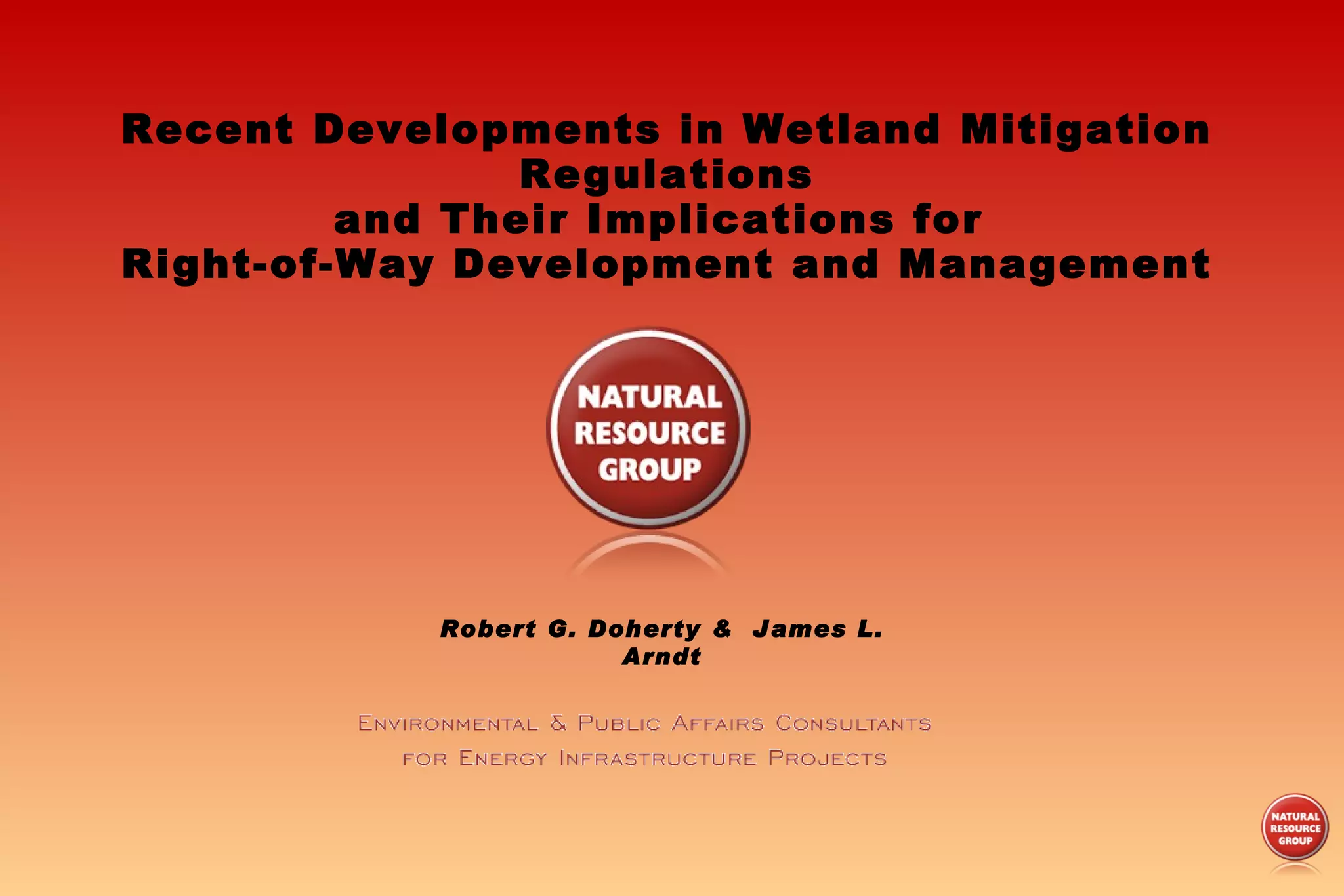 Current Issues Wetland Mitigation_Irow 2009 PPT