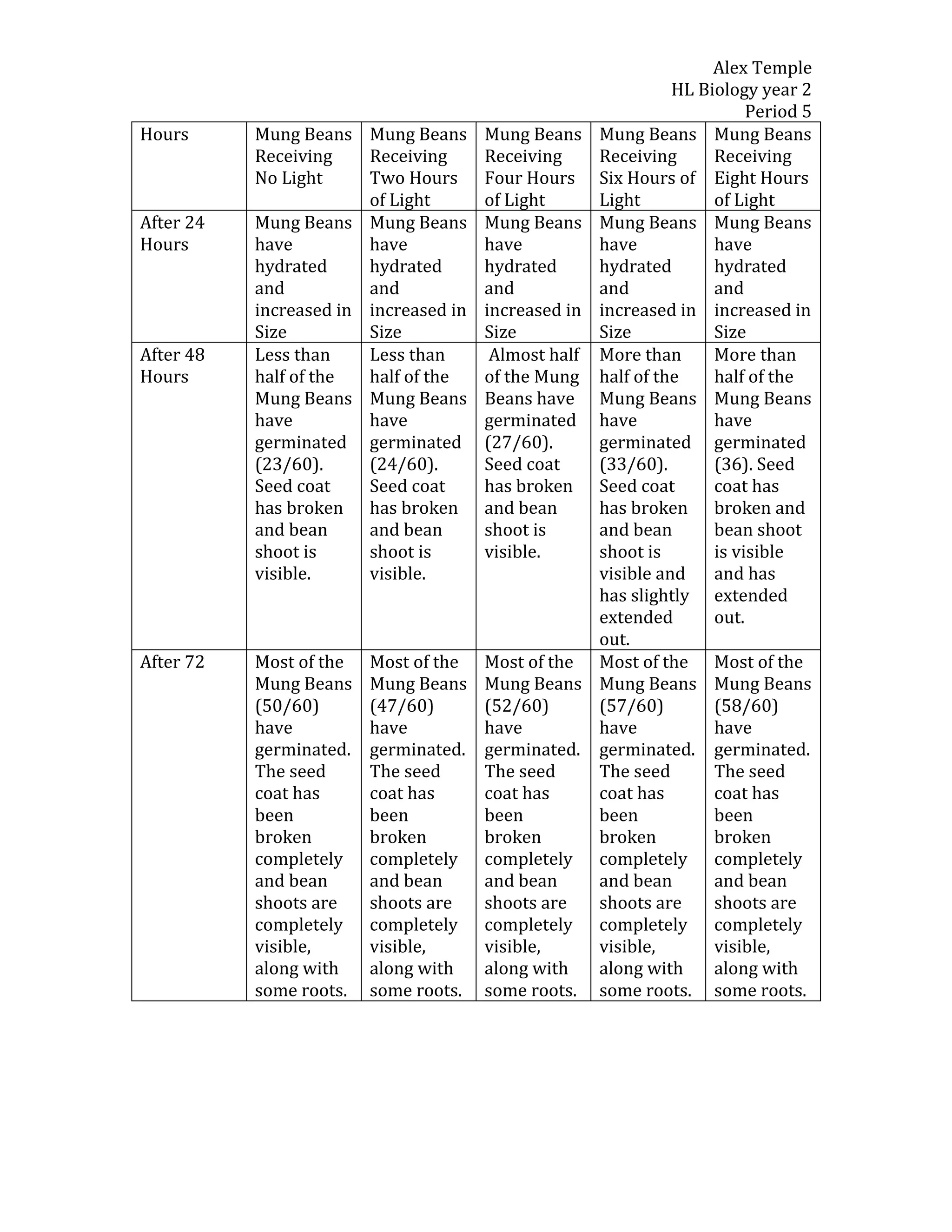 Alex Temple
                                                                HL Biology year 2
                                                                          Period 5
Hours      Mung Beans Mung Beans       Mung Beans     Mung Beans Mung Beans
           Receiving    Receiving      Receiving      Receiving      Receiving
           No Light     Two Hours      Four Hours     Six Hours of Eight Hours
                        of Light       of Light       Light          of Light
After 24   Mung Beans Mung Beans       Mung Beans     Mung Beans Mung Beans
Hours      have         have           have           have           have
           hydrated     hydrated       hydrated       hydrated       hydrated
           and          and            and            and            and
           increased in increased in   increased in   increased in increased in
           Size         Size           Size           Size           Size
After 48   Less than    Less than       Almost half   More than      More than
Hours      half of the  half of the    of the Mung    half of the    half of the
           Mung Beans Mung Beans       Beans have     Mung Beans Mung Beans
           have         have           germinated     have           have
           germinated germinated       (27/60).       germinated germinated
           (23/60).     (24/60).       Seed coat      (33/60).       (36). Seed
           Seed coat    Seed coat      has broken     Seed coat      coat has
           has broken has broken       and bean       has broken broken and
           and bean     and bean       shoot is       and bean       bean shoot
           shoot is     shoot is       visible.       shoot is       is visible
           visible.     visible.                      visible and    and has
                                                      has slightly extended
                                                      extended       out.
                                                      out.
After 72   Most of the   Most of the   Most of the    Most of the Most of the
           Mung Beans    Mung Beans    Mung Beans     Mung Beans Mung Beans
           (50/60)       (47/60)       (52/60)        (57/60)        (58/60)
           have          have          have           have           have
           germinated.   germinated.   germinated.    germinated. germinated.
           The seed      The seed      The seed       The seed       The seed
           coat has      coat has      coat has       coat has       coat has
           been          been          been           been           been
           broken        broken        broken         broken         broken
           completely    completely    completely     completely completely
           and bean      and bean      and bean       and bean       and bean
           shoots are    shoots are    shoots are     shoots are     shoots are
           completely    completely    completely     completely completely
           visible,      visible,      visible,       visible,       visible,
           along with    along with    along with     along with     along with
           some roots.   some roots.   some roots.    some roots. some roots.
 