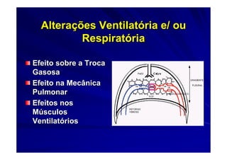 Alterações Ventilatória e/ ou
          Respiratória

Efeito sobre a Troca
Gasosa
Efeito na Mecânica
Pulmonar
Efeitos nos
Músculos
Ventilatórios
 