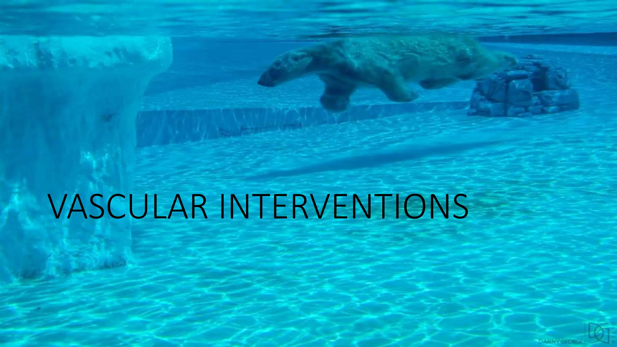 VASCULAR INTERVENTIONS
 